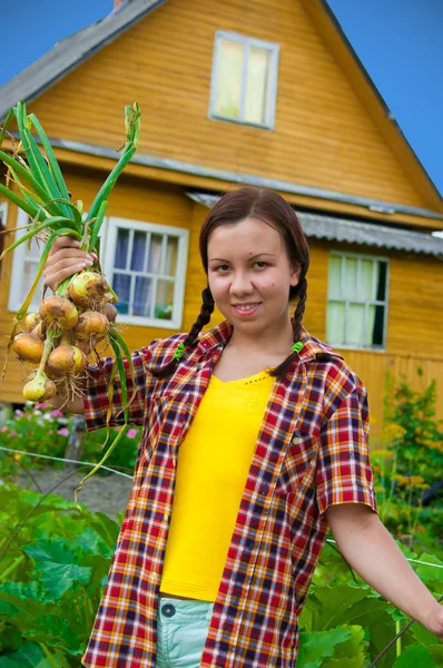Chica con cebolla cosechada —  Fotos de Stock
