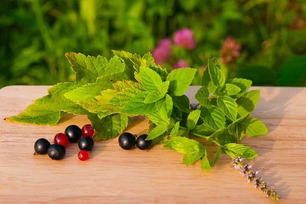 Ribes rosso e nero su una tavola di legno — Foto Stock