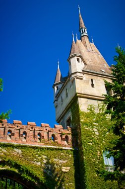 Vajdahunyad castle