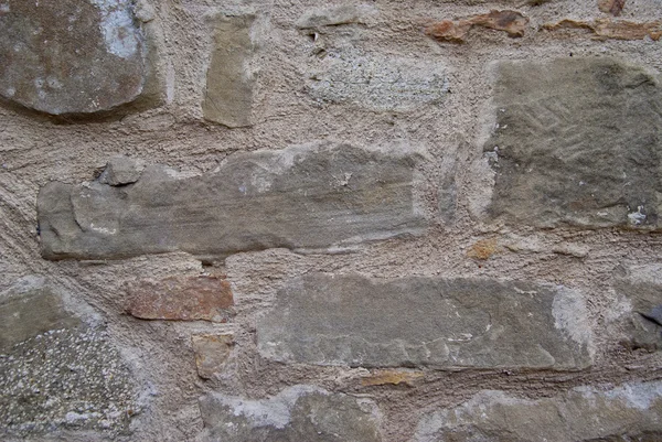 Старые каменные стены с корнями деревьев — стоковое фото