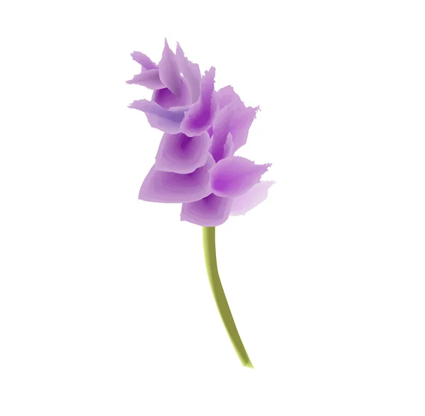 Фиолетовый розовый экзотический цветок — стоковый вектор