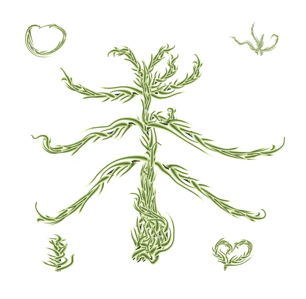 Ветвь зеленой елки, залита солнцем — стоковый вектор