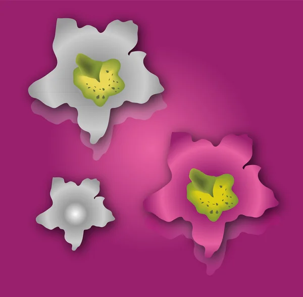 Siatki kolekcja storczyków kwiaty różowe i fioletowe — Wektor stockowy