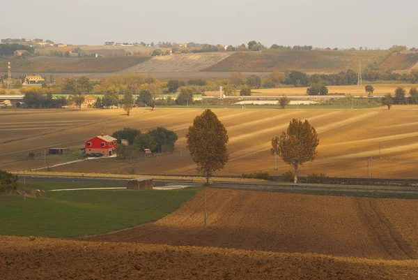 Італійської сільській подання поля, захід сонця та дерева — стокове фото