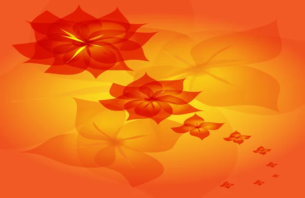 Романтический цветок осенний орнамент красочный — стоковое фото