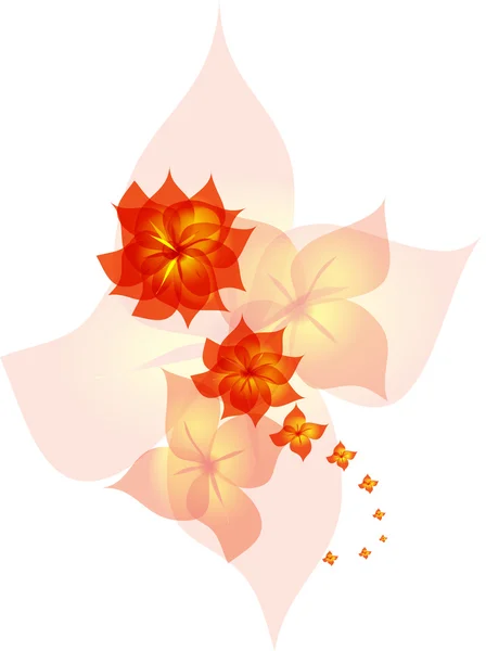 Ρομαντικό λουλούδι φθινόπωρο στολίδι πολύχρωμο — Φωτογραφία Αρχείου