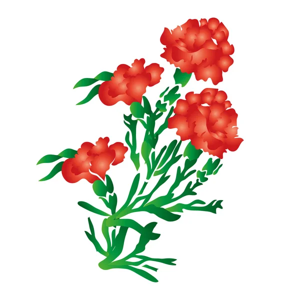 Flor roja de verano en el jardín — Vector de stock