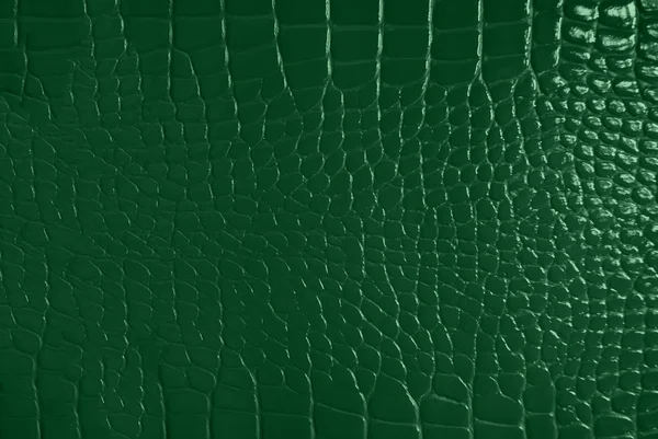 緑色の肌テクスチャ — ストック写真