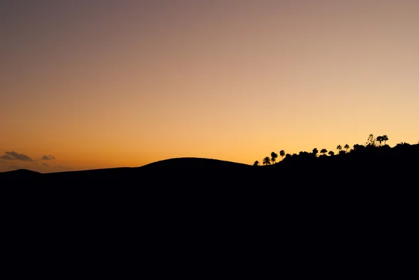Silhouette scura di sabbia e alberi al tramonto — Foto Stock