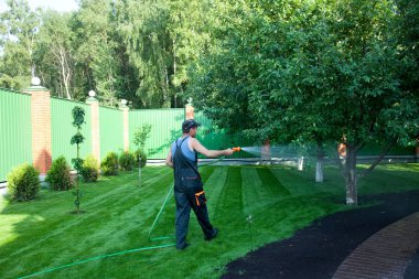 Working watering garden clipart