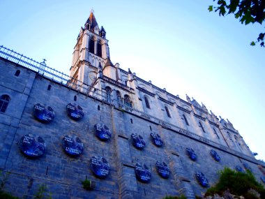 Basilica of the Immaculate Conception in Lourdes clipart