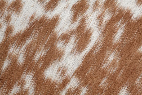 Cowhide brown — Stock Photo, Image