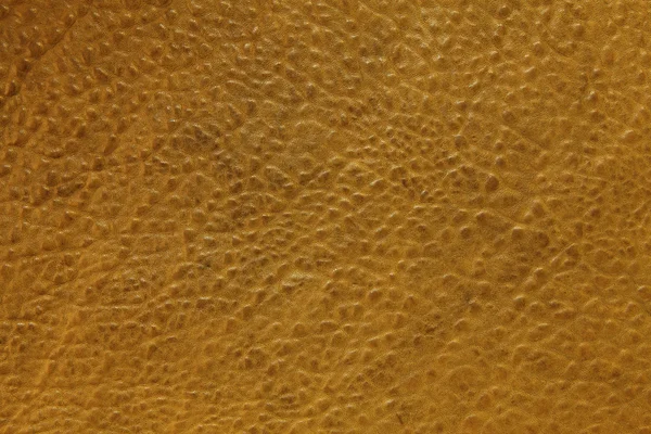 Sheepskin leather background — Stock Photo, Image