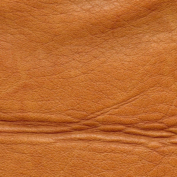 Pelle marrone — Foto Stock