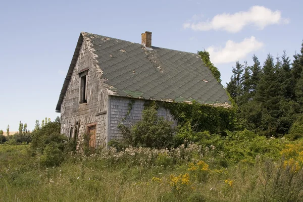 Abandon house — Stock Photo, Image