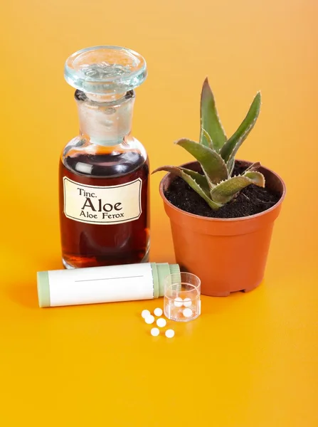 Aloe Ferox planta, extrato e pílulas homeopáticas — Fotografia de Stock
