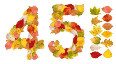 Numbers 4 and 5 made of autumn leaves clipart