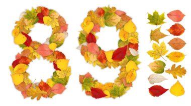 Numbers 8 and 9 made of autumn leaves clipart