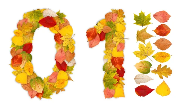 数字 0 和 1 的秋天的树叶 — 图库照片
