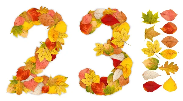 Numéros 2 et 3 faits de feuilles d'automne — Photo
