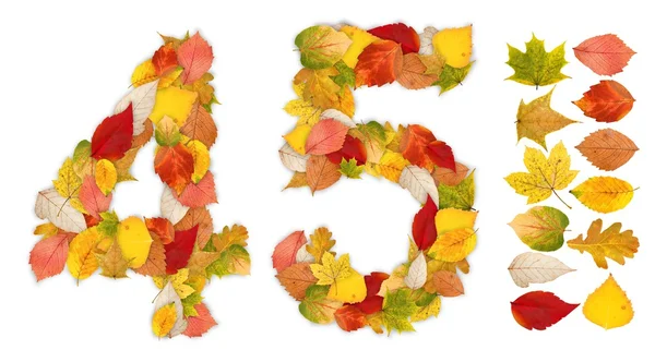 Números 4 e 5 feitos de folhas de outono — Fotografia de Stock