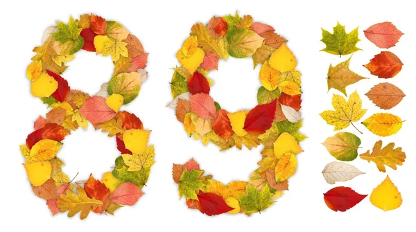 Números 8 e 9 feitos de folhas de outono — Fotografia de Stock