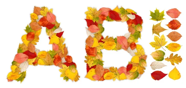 Buchstaben a und b aus Herbstblättern — Stockfoto