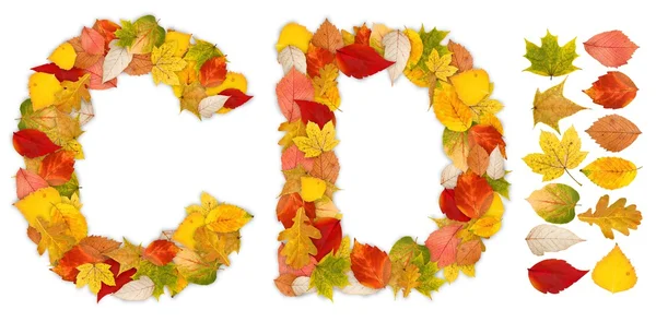 字符 c 和 d 所作的秋天的树叶 — 图库照片