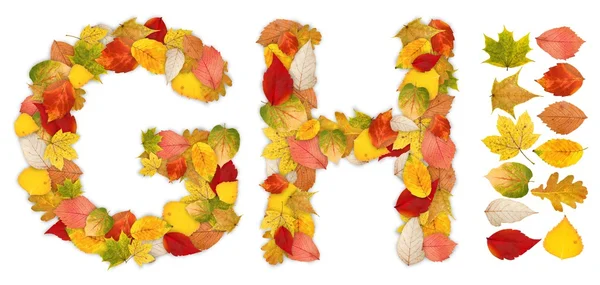 字符 g 和 h 所作的秋天的树叶 — 图库照片