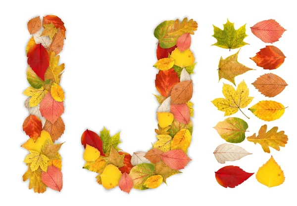 Znaki i oraz j z liści jesienią — Zdjęcie stockowe