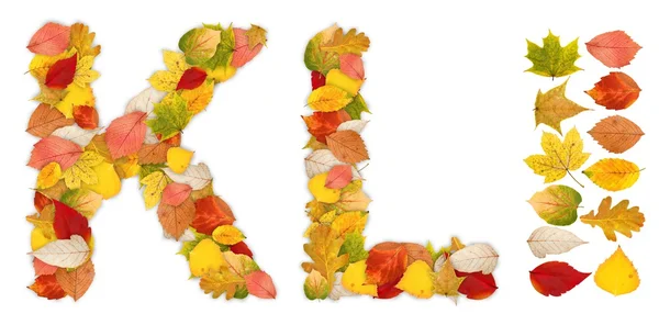 Buchstaben k und l aus Herbstblättern — Stockfoto