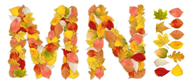 字符 m 和 n 所作的秋天的树叶 — 图库照片