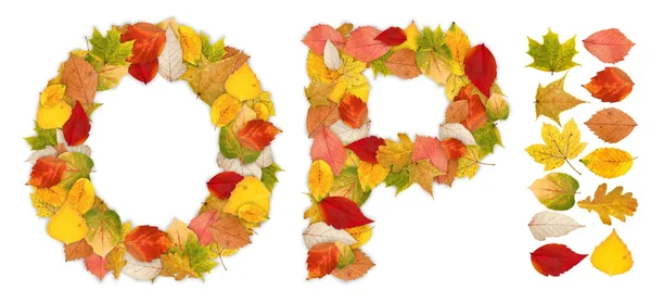 Zeichen o und p aus Herbstblättern — Stockfoto