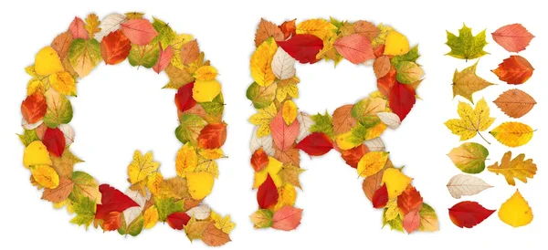 Znaki q i r z liści jesienią — Zdjęcie stockowe