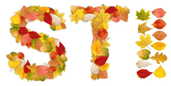 Caractères S et T faits de feuilles d'automne — Photo