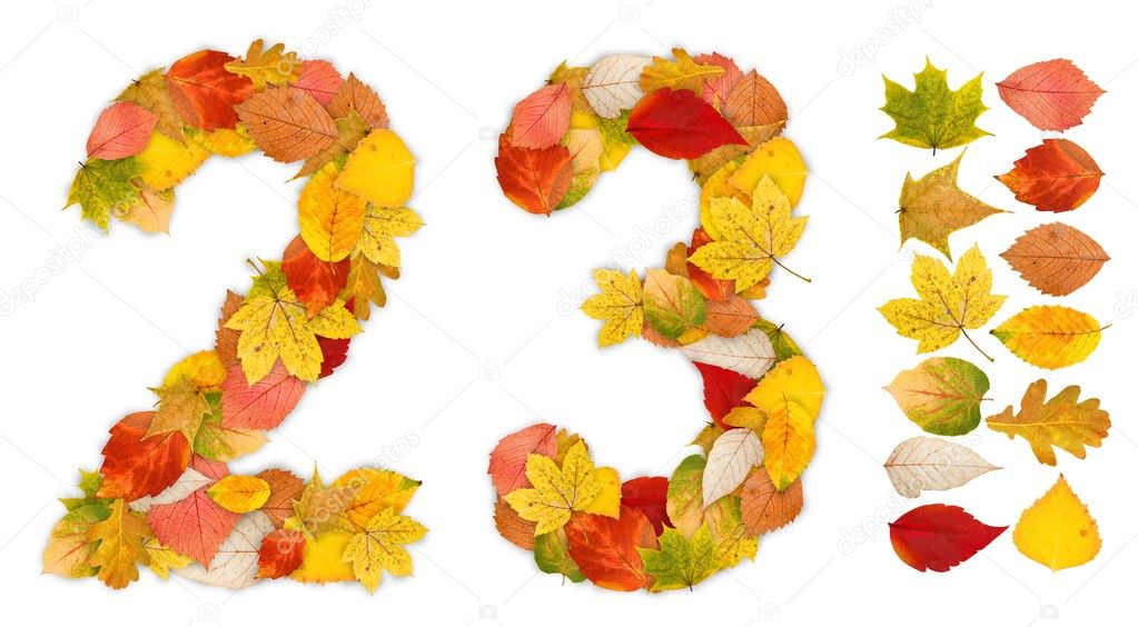 Numbers 2 and 3 made of autumn leaves