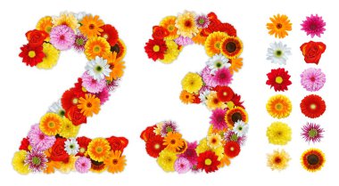 Numbers 2 and 3 made of various flowers clipart