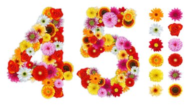Numbers 4 and 5 made of various flowers clipart
