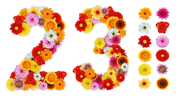 Numbers 2 and 3 made of various flowers — Stock Photo, Image
