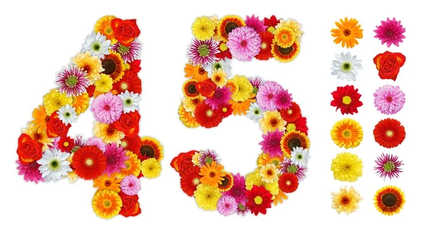 Zahlen 4 und 5 aus verschiedenen Blumen — Stockfoto