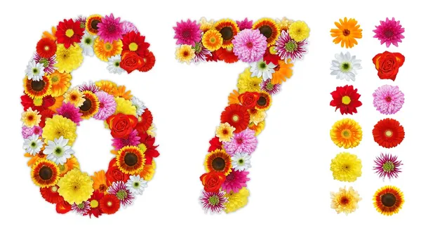 Zahlen 6 und 7 aus verschiedenen Blumen — Stockfoto
