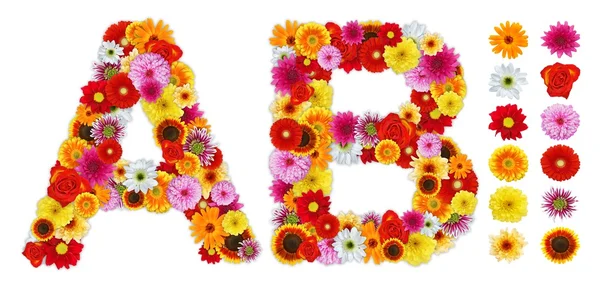 字符 a 和 b 所作的各种鲜花 — 图库照片