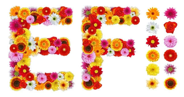 Znaky e a f z různých květů — Stock fotografie