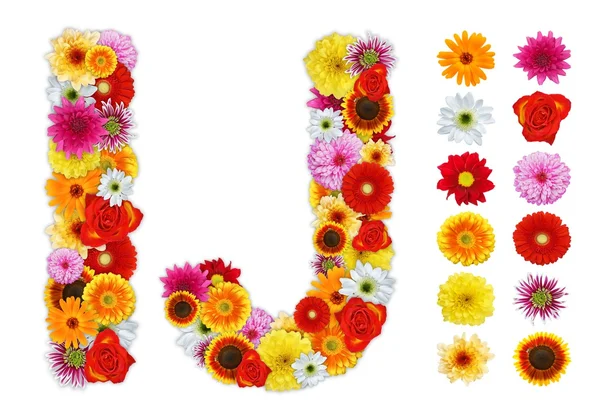 Znaky, i a j, vyrobené z různých květů — Stock fotografie