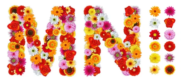 Buchstaben m und n aus verschiedenen Blumen — Stockfoto