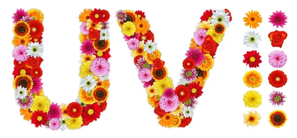 Caractères U et V faits de diverses fleurs — Photo