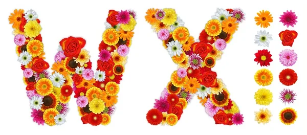 Characters W and X made of various flowers — Stock Photo, Image
