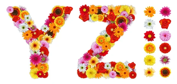 様々 な花から成っている文字 y および z — ストック写真