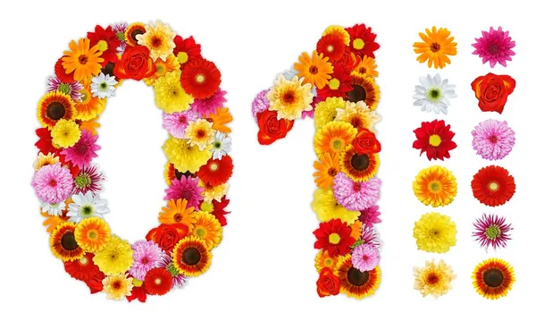 数字の 0 と 1 を作った様々 な花の — ストック写真