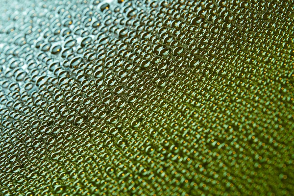 아름 다운 방울의 물 — 스톡 사진